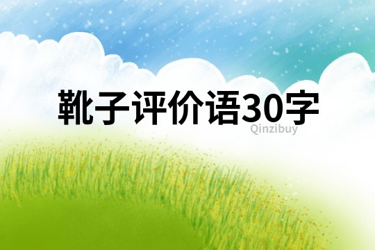 靴子評價語30字