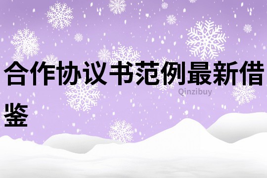 合作協(xié)議書(shū)范例最新借鑒
