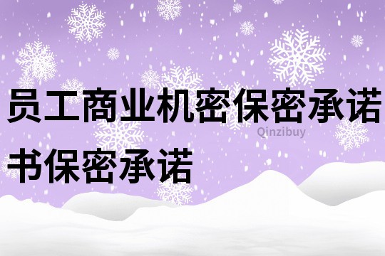 員工商業(yè)機密保密承諾書,保密承諾