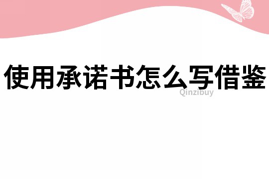 使用承諾書怎么寫借鑒