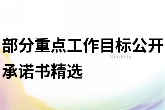 部分重點工作目標公開承諾書精選
