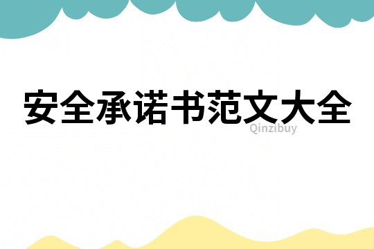 安全承諾書范文大全