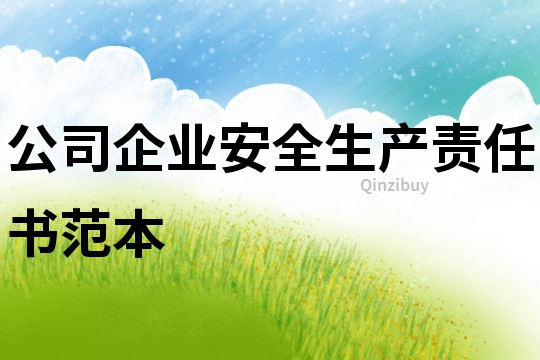 公司企業(yè)安全生產(chǎn)責(zé)任書(shū)范本