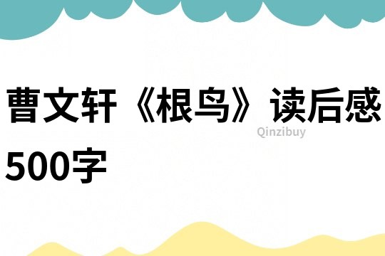 曹文軒《根鳥》讀后感500字