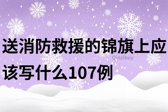 送消防救援的錦旗上應該寫什么107例