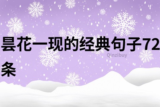 曇花一現的經典句子72條