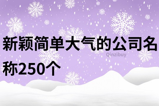 新穎簡單大氣的公司名稱250個(gè)