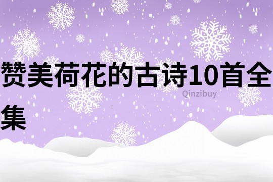 贊美荷花的古詩10首全集