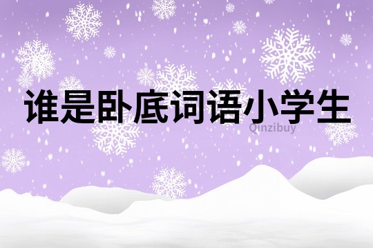 誰是臥底詞語小學(xué)生