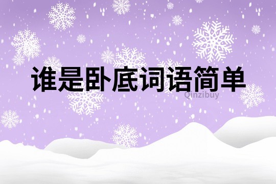 誰是臥底詞語簡單