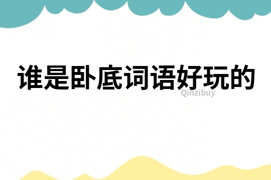 誰是臥底詞語好玩的