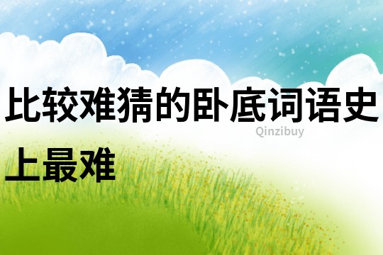 比較難猜的臥底詞語史上最難