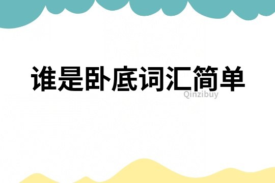 誰是臥底詞匯簡單