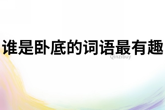 誰是臥底的詞語最有趣