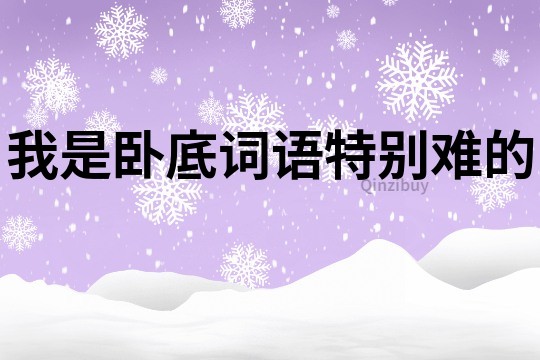 我是臥底詞語特別難的