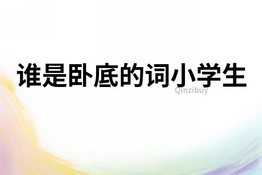 誰(shuí)是臥底的詞小學(xué)生