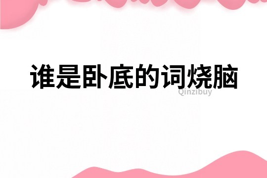 誰是臥底的詞燒腦