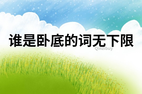 誰是臥底的詞無下限