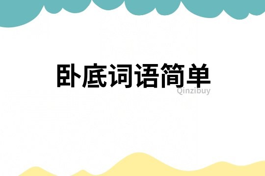 臥底詞語(yǔ)簡(jiǎn)單