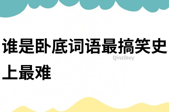 誰是臥底詞語最搞笑史上最難