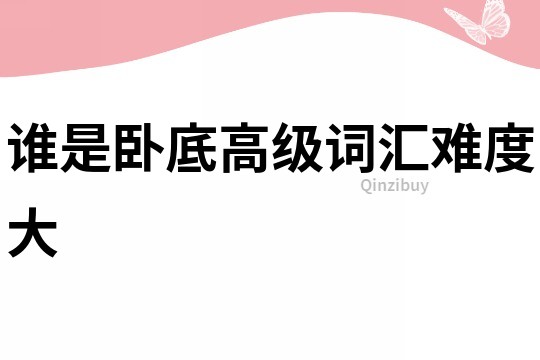 誰是臥底高級詞匯難度大