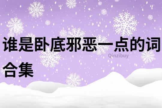 誰是臥底邪惡一點的詞合集
