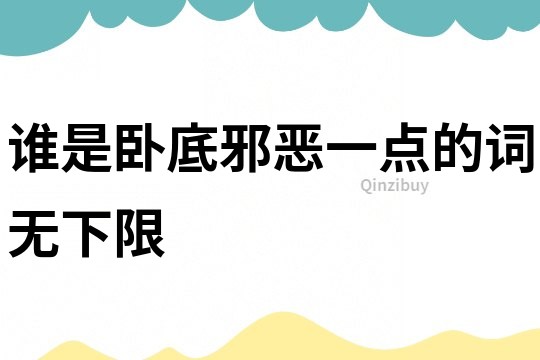 誰是臥底邪惡一點的詞無下限