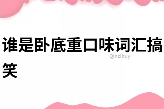 誰是臥底重口味詞匯搞笑