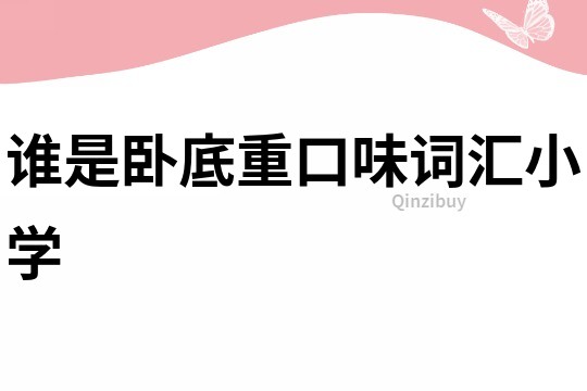 誰(shuí)是臥底重口味詞匯小學(xué)
