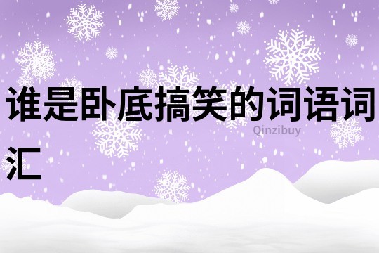 誰是臥底搞笑的詞語詞匯