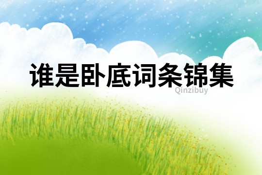 誰是臥底詞條錦集