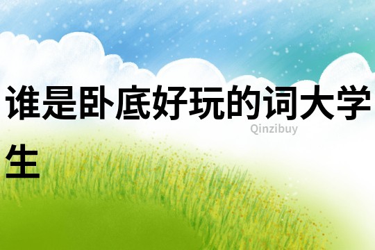 誰(shuí)是臥底好玩的詞大學(xué)生