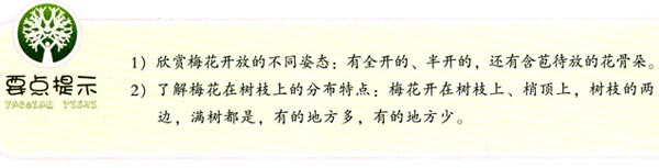 幼兒園大班畫畫教案設計：梅花