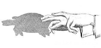 經(jīng)典的手影游戲教案：小烏龜