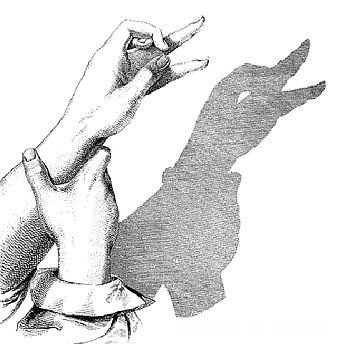 經(jīng)典的手影游戲教案：鴨子